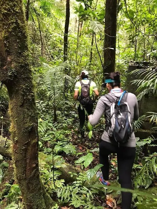 Feriehus El Barranquero Villa Cali
