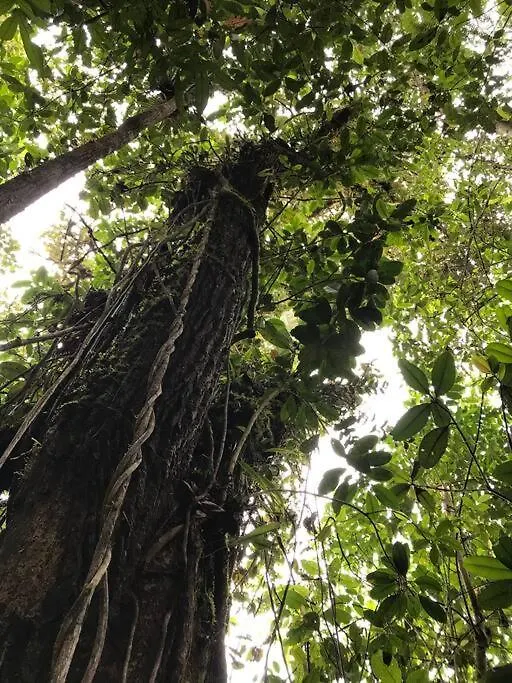 El Barranquero Villa Cali Colombia