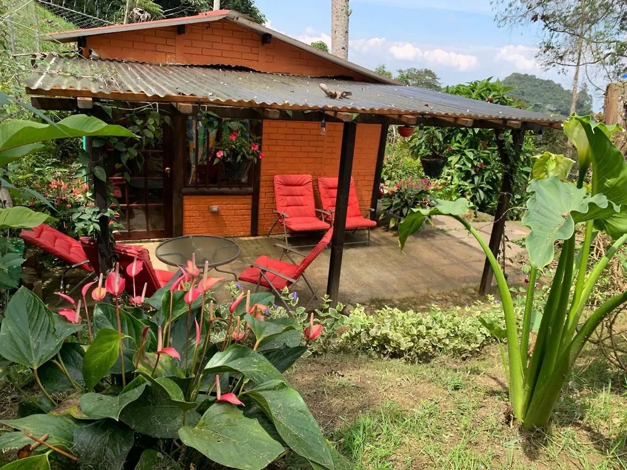 El Barranquero Villa Cali 0*,