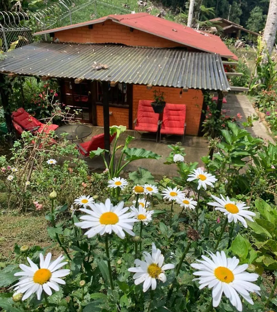 El Barranquero Villa Cali 0*,  Colombia