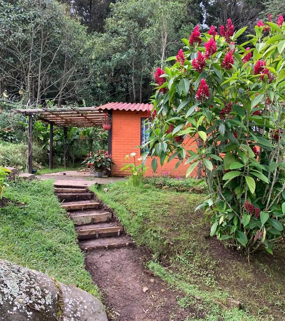 Feriehus El Barranquero Villa Cali